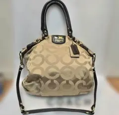 Item thumbnail for item 2e98a9b2-fe0a-4fbc-862c-9bd14424edfc