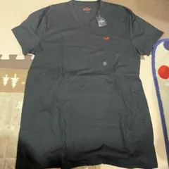 Hollister VネックTシャツ Sサイズ ブラック