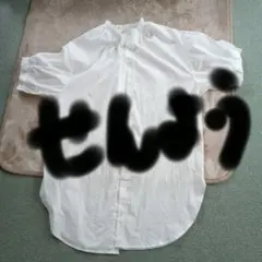 Item thumbnail for item 39c46d4d-e247-44ed-a0a5-a3027185dbf4