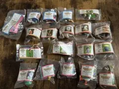 Item thumbnail for item 9b896323-6525-40d4-8f1d-af2380697a12