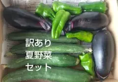 訳あり 採れたて 夏野菜セットのサムネイル
