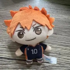 ハイキュー　日向翔陽 ぬいぐるみ 約10cm