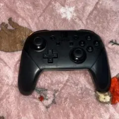 Nintendo Switch Pro Controller プロコン