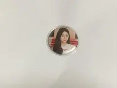 TWICE dream day 缶バッチ　ツウィ