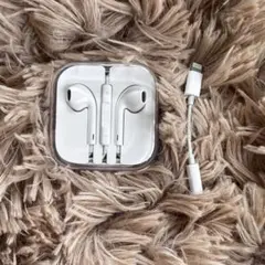 Apple 純正イヤフォン 専用ケース付き イヤホン　earpods