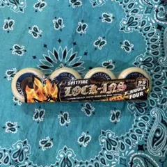 Item thumbnail for item 4dd8d002-0892-4e79-bb25-cf49239728c6