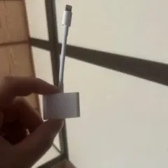 ゴミ