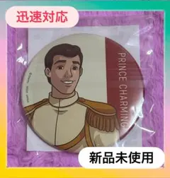 新品未使用♡ディズニーラッキーくじプリンスチャーミング缶バッジ