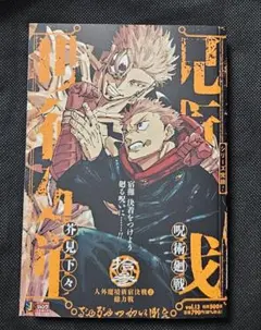 呪術廻戦リミックス版13巻人外魔境新宿決戦② アニメイト特典
