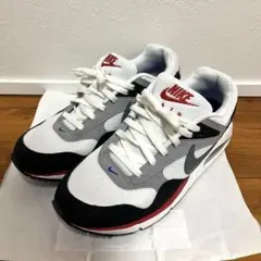 ナイキ エアマックス　コレリート　Airmax 28.5cm
