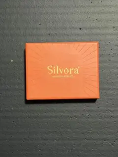 Silvora コインネックレス ゴールドカラー