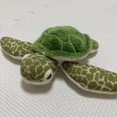 ぬいぐるみ CUTE マリンコレクション♡アオウミガメ
