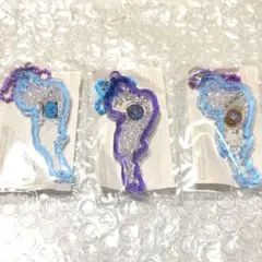 琵琶湖キーホルダー レイラックコンプリートセット - メルカリ