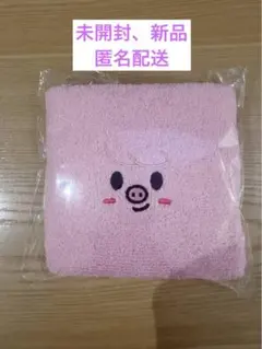 Stray Kids ペンミ 入場特典 タオル チャンビン キーホルダー - メルカリ