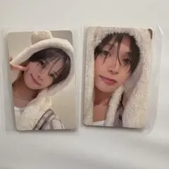 ふわふわアニマルトレカ &TEAM K ケイ 2