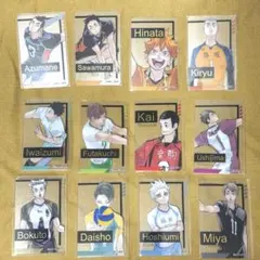 ハイキュー!! 箔押しクリアカードコレクション FAN PARK