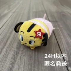 Item thumbnail for item d364e672-901a-4914-ae35-4c243a502eb4