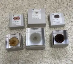 セール　sola cube タンポポ　カラマツ　カイガラソウ3点セット