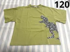 SHOO LA RUE シューラルー 恐竜 半袖Tシャツ 黄緑イエローグリーン