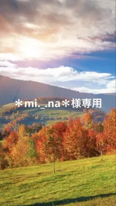 70 レジン　シャカシャカキーホルダー　シェイカー クリスマス　雪　大人