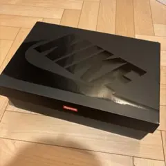 Supreme Nike Air Max 2001 Air Ecstasy