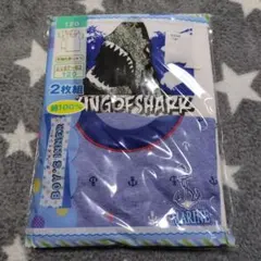 男児 半袖シャツ 2枚組 120