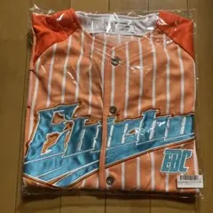 Item thumbnail for item 29cd037a-690e-456b-99e8-9215f387f333