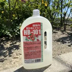 HB101 天然植物活力液 1000ml x 1本 - メルカリ