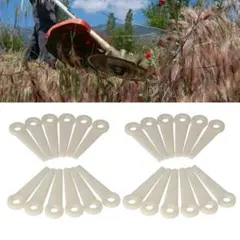 Item thumbnail for item fe47d037-e0a7-4b1f-8535-ed9d9d1eae05