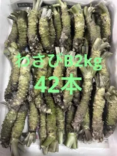 わさびB 静岡県静岡市産 2kgのサムネイル