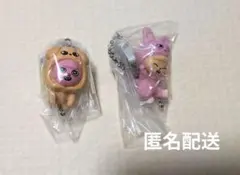 SKZOO　つまつな　トェッキ　パピーム　チャンビン　スンミン