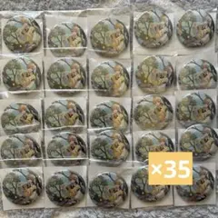 るぅとくん 君と僕の約束 特典缶バッジ 35点