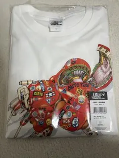 Item thumbnail for item 7c97a022-bc31-44b2-aca6-986e008f6bc8