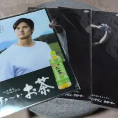 Item thumbnail for item 21dc1ae7-0405-41e3-9bb7-44fc727463be