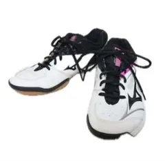 MIZUNO WAVE FANG バドミントンシューズ　レディース美品　25cmのサムネイル
