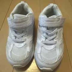 Item thumbnail for item 825ff3f6-2459-4805-a198-3760db616436