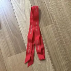 LOUIS VUITTON ロゴ入りレッドリボン