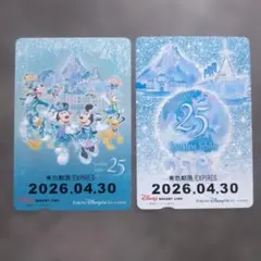 ディズニーリゾートライン　フリー切符　東京ディズニーシー 25周年のサムネイル