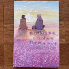 夜が明けたら、いちばんに君に会いにいく