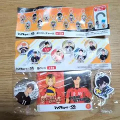 宮治　缶バッジ　影山飛雄　めじるしチャーム　くら寿司　ハイキュー　黒尾孤爪カード