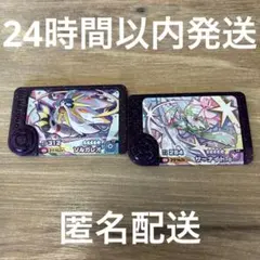 ポケモンフレンダ ベストタッグ第一弾 ソレガレオ　サーナイト　2点セット