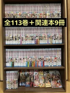 ONE PIECE 1巻〜113巻 全巻セット＋関連本9冊セット