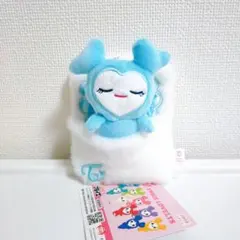 TWICE LOVELYS　おふとんリールパスケース 【ナヨン】