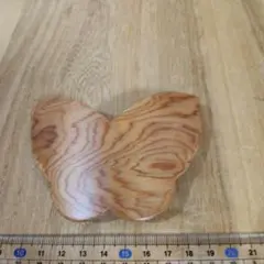 Item thumbnail for item a25ed30e-1437-4ebf-a89e-d144dee843ad