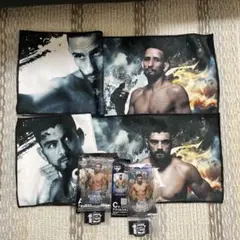 Item thumbnail for item 48250387-26b2-4b94-bc7e-b6a7e0e28595