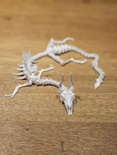 ツノトカゲ 骨格標本 剥製 頭骨 標本 - メルカリ