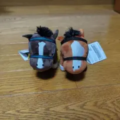 う*す様 サラブレッドコレクション MBC メロディーレーン＆イスラボニータ 2