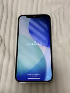 iPhone 12 pro 256GB SIMフリー（ジャンク品）