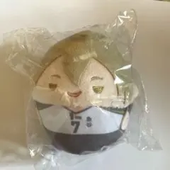 ハイキュー!! くじメイト ぬいくじ D賞 ふわコロりん 木葉 秋紀