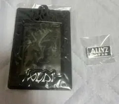 ALD1 トレカケース　ピンバッジ